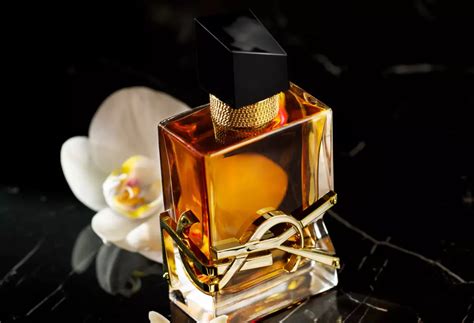 ysl best selling perfume